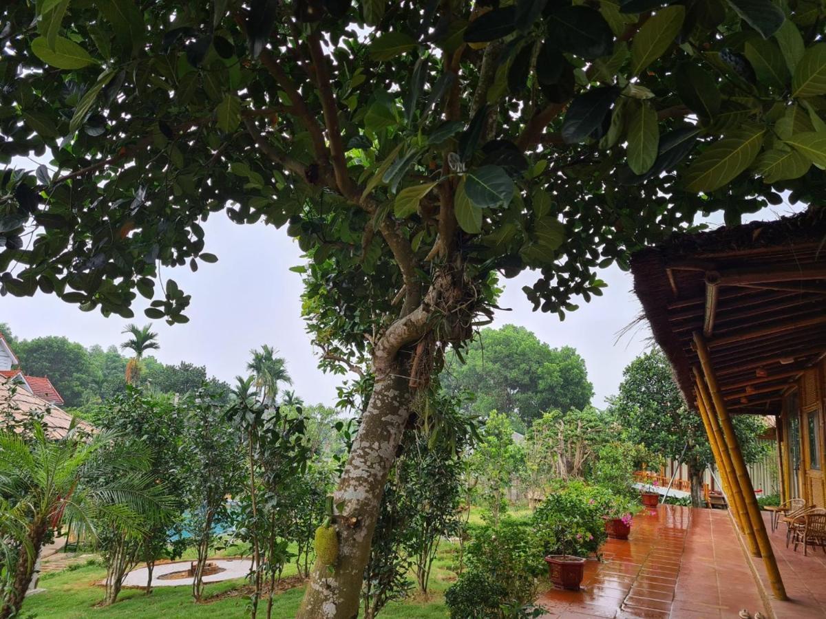 Byve Garden Villa Hanoi Exteriör bild