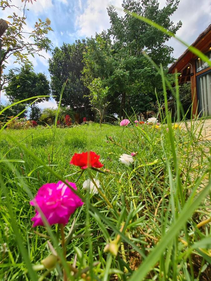 Byve Garden Villa Hanoi Exteriör bild