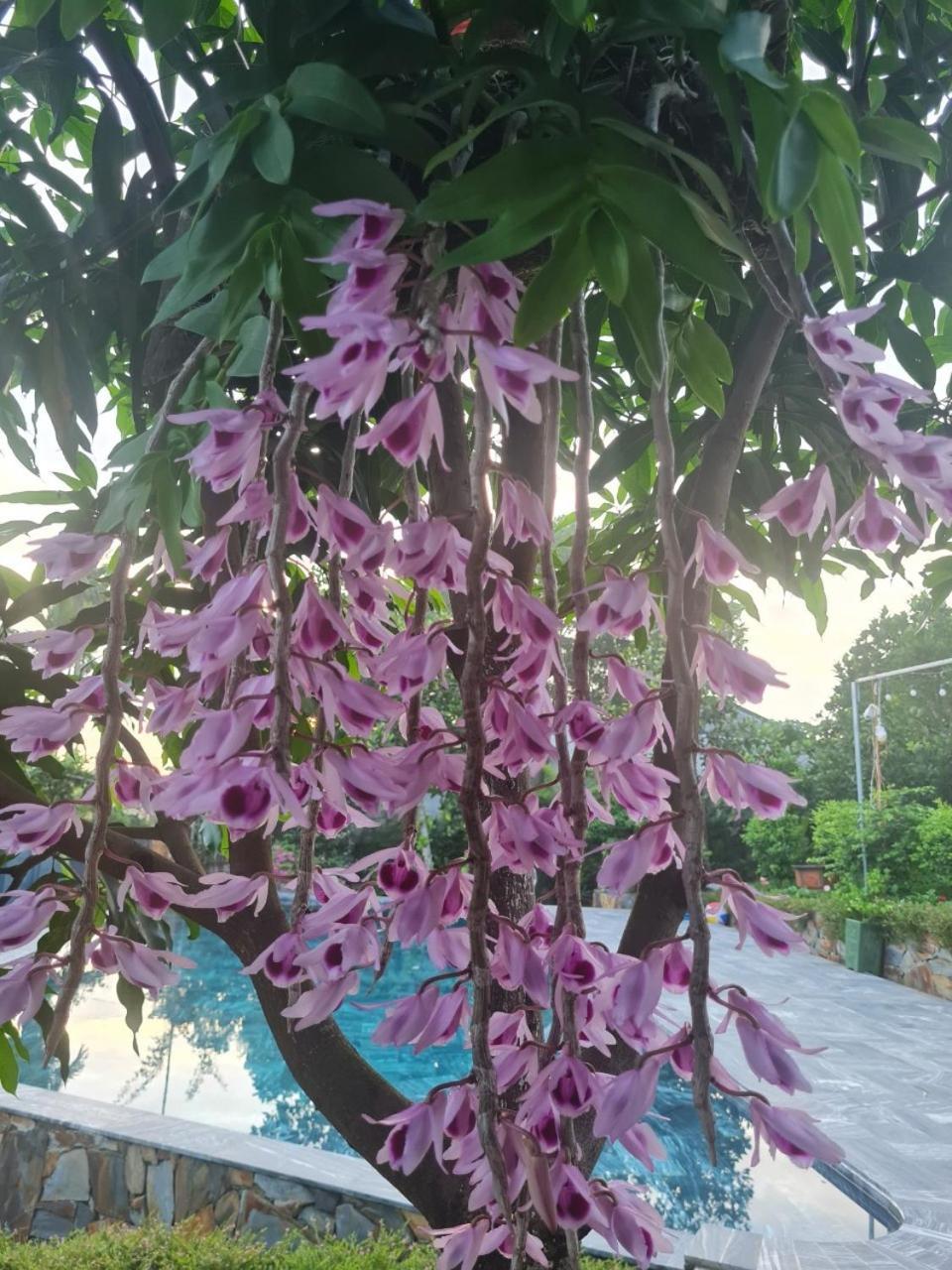Byve Garden Villa Hanoi Exteriör bild
